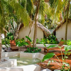 Serena - Adults Only 3* Tulum